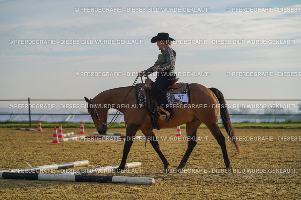 DSC00502 | Pferdegrafie