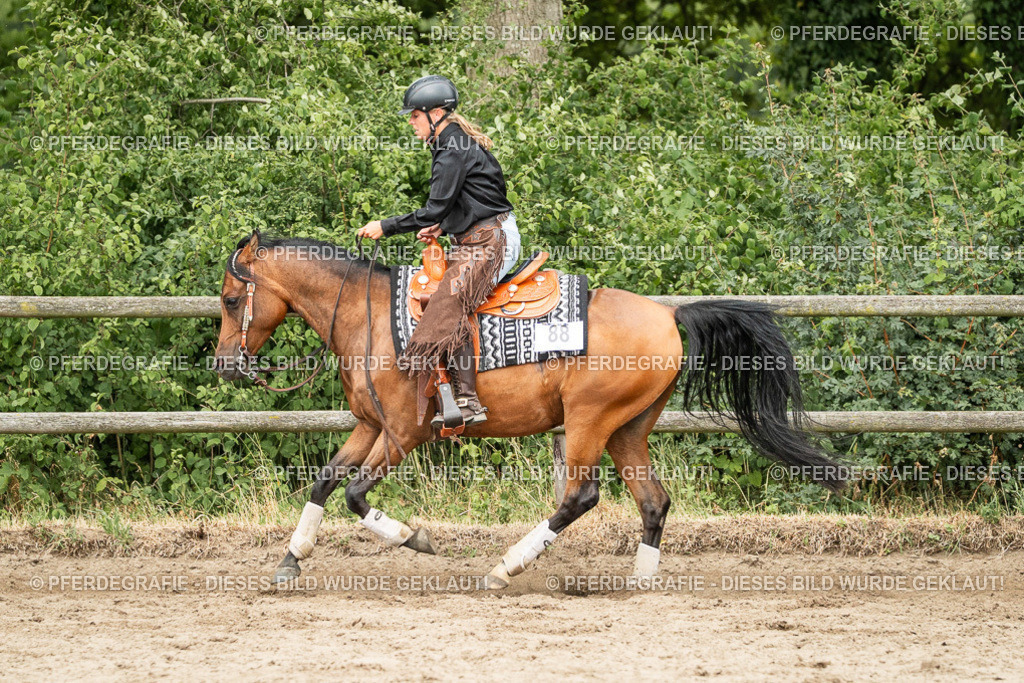 DSC04294 | Pferdegrafie