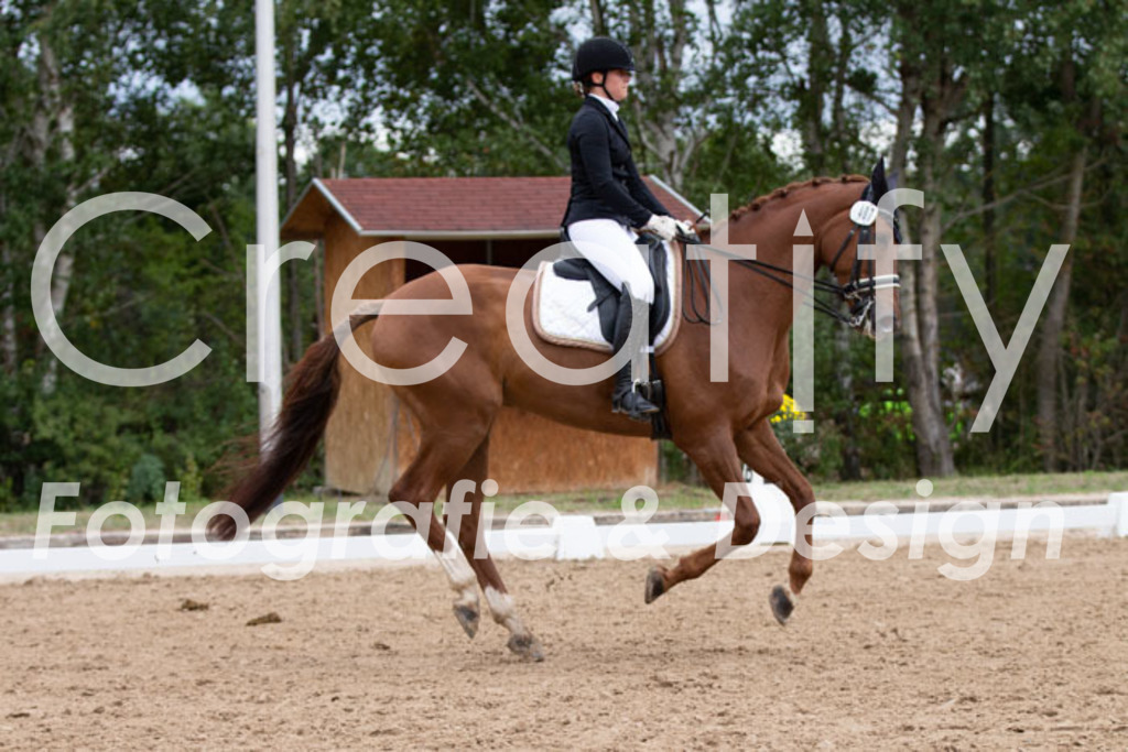 IMG_7674 | Creatify Fotografie