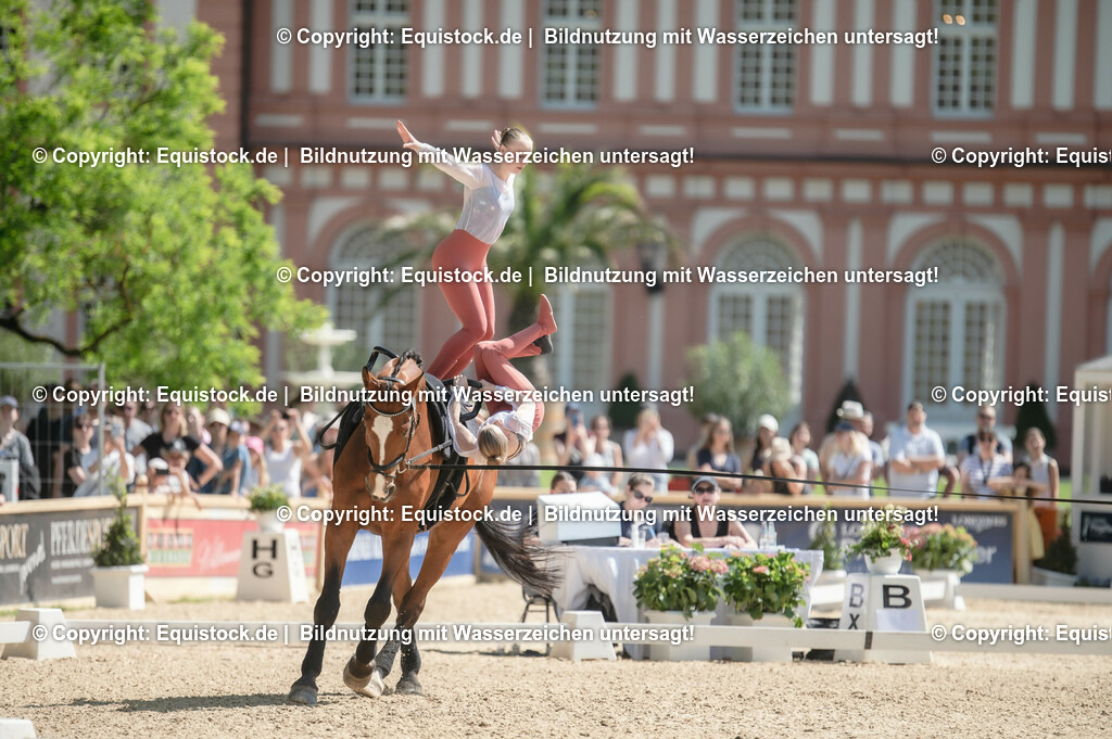 20230528_Voltigieren_NASPA_0379 | equistock