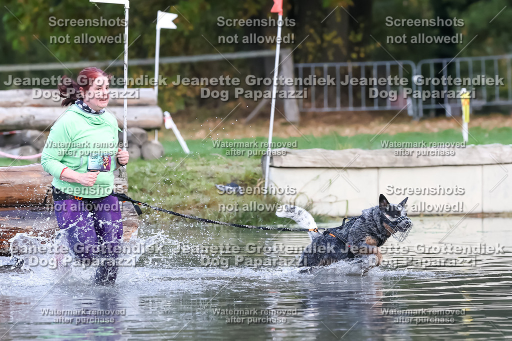 Dog Paparazzi - Strongdog 10-25-6377 | Dog Paparazzi Jeanette Grottendiek Fotografie & Videografie - Realisiert mit Pictrs.com