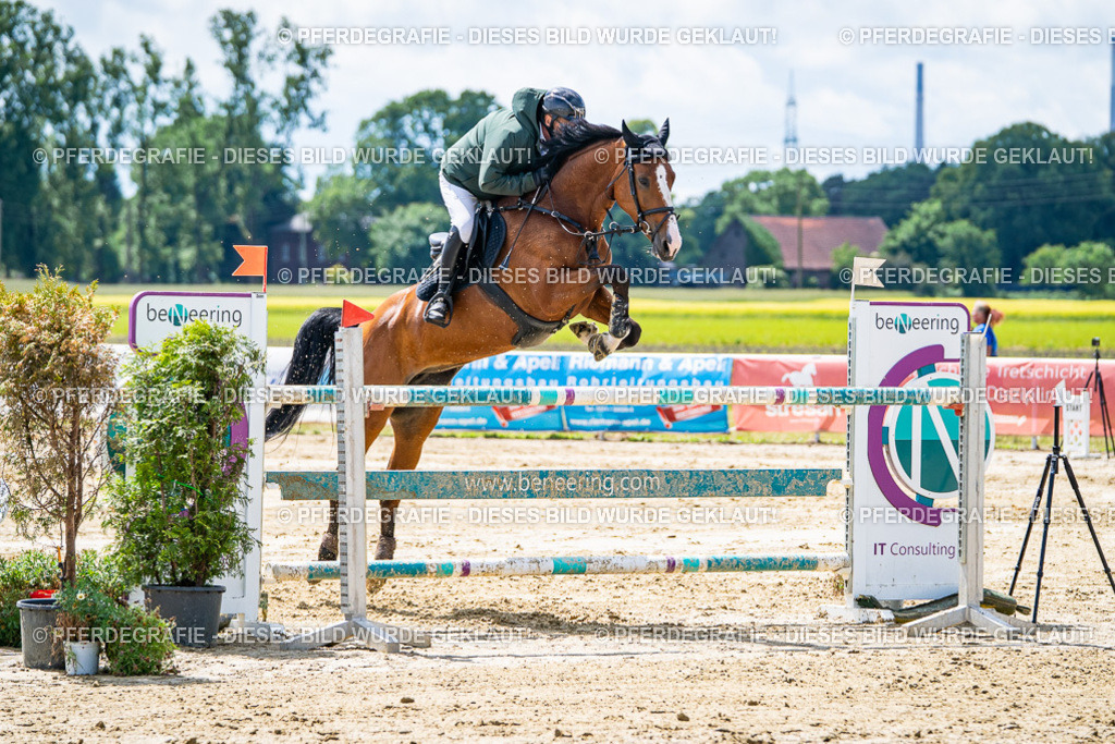 DSC04985 | Pferdegrafie