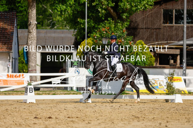 _62_2613 | larahueckfotografie