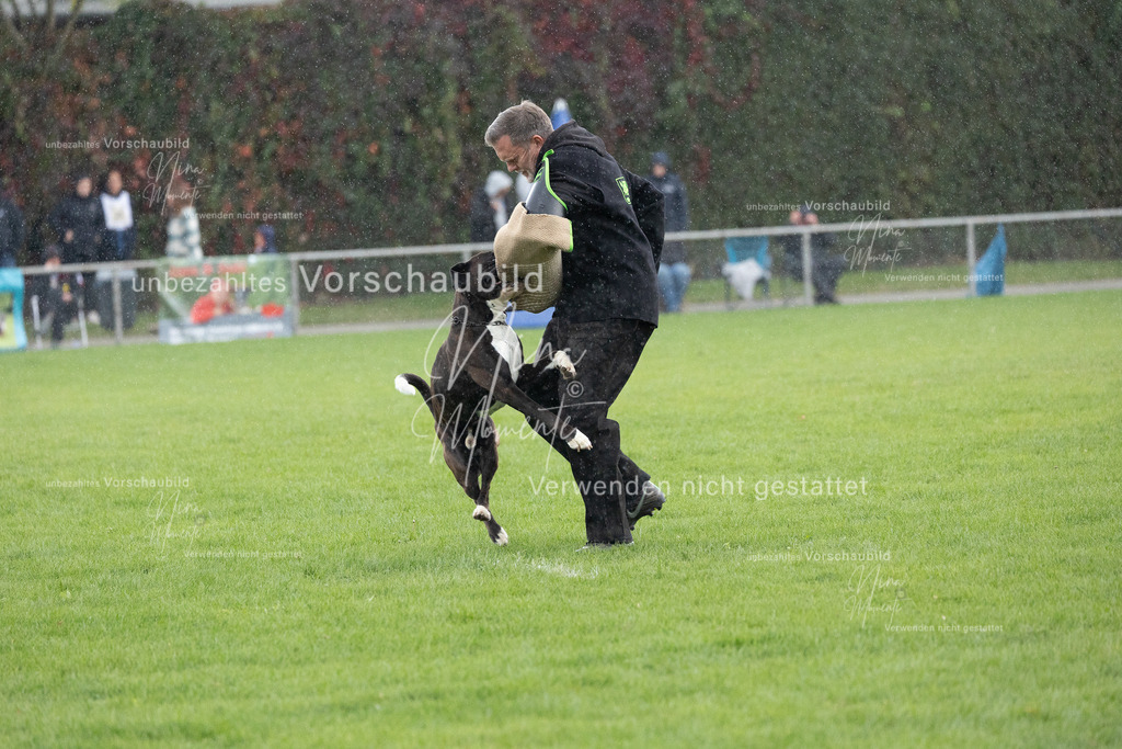 _16A7173 | Einzigartige Fotos von Hunden & Menschen –Actionfotos, Portraits, Vereinsaufnahmen & Paarshootings – authentisch, lebendig & mit Herz.