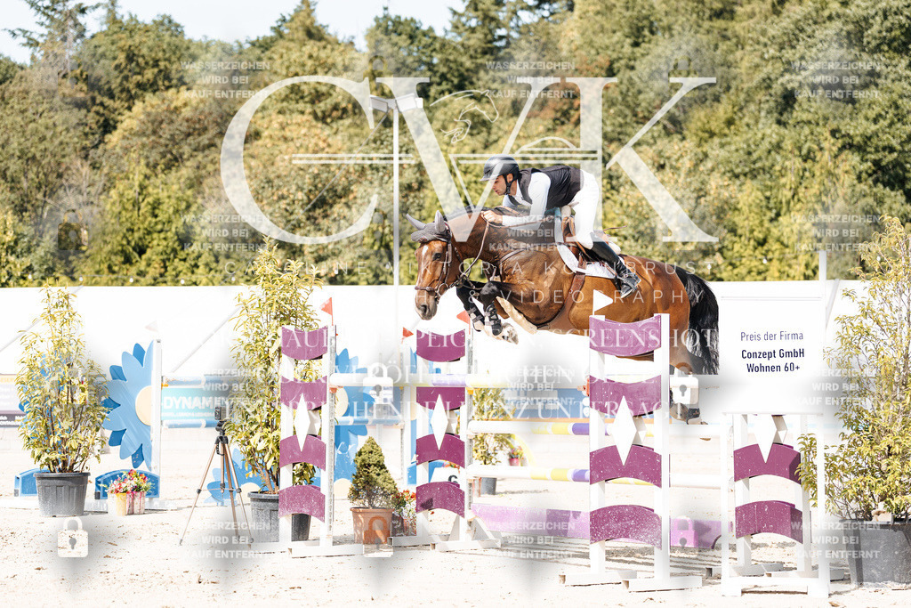 CK905101 | Turnierfotografie Pferdefotografie Trier Rheinland-Pfalz Pferdesport Reitsport Tierfotografie Sportfotografie Pferdevideo Pferdevideografie Equestrianvideography equestrianphotography  - Realisiert mit Pictrs.com