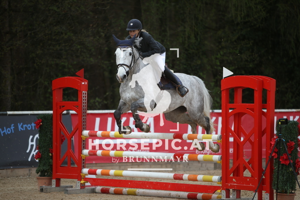 PP017194 | Willkommen bei Brunnmayr - Design & Fotografie – Ihrem Spezialisten für Reitturniere und Pferdeveranstaltungen in Oberösterreich, Salzburg und Bayern! Seit über 17 Jahren sind wir leidenschaftlich dabei.