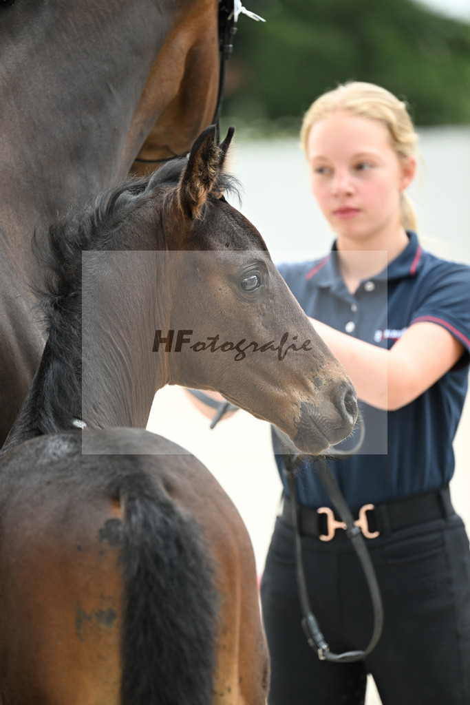 Kat-Nr. 10 Schneemann x Grand Galaxy Win_HF_Schulz_21250812 | hf-fotografie - Realizzato con Pictrs.com