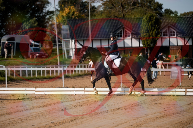 2026_10_03_Siefer-Hof_113331_Z63_19824238 | Professionelle Reitsport-, Turnier- und Eventfotografie von Robert Broda. Galerien mit ausgewählten und bearbeiteten Bildern direkt online ansehen und bestellen.
