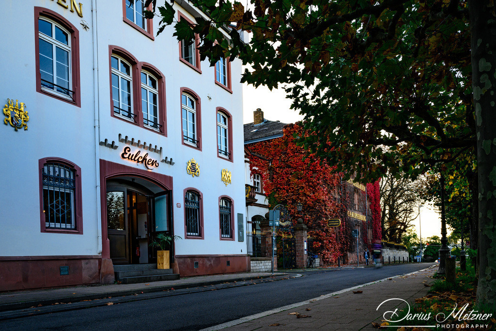 Die Kupferbergterasse in Mainz | Die Kupferbergterasse in Mainz