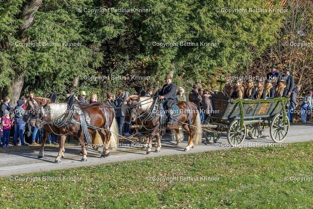LBT25-563 | foto-bettina-krinner - Realisiert mit Pictrs.com