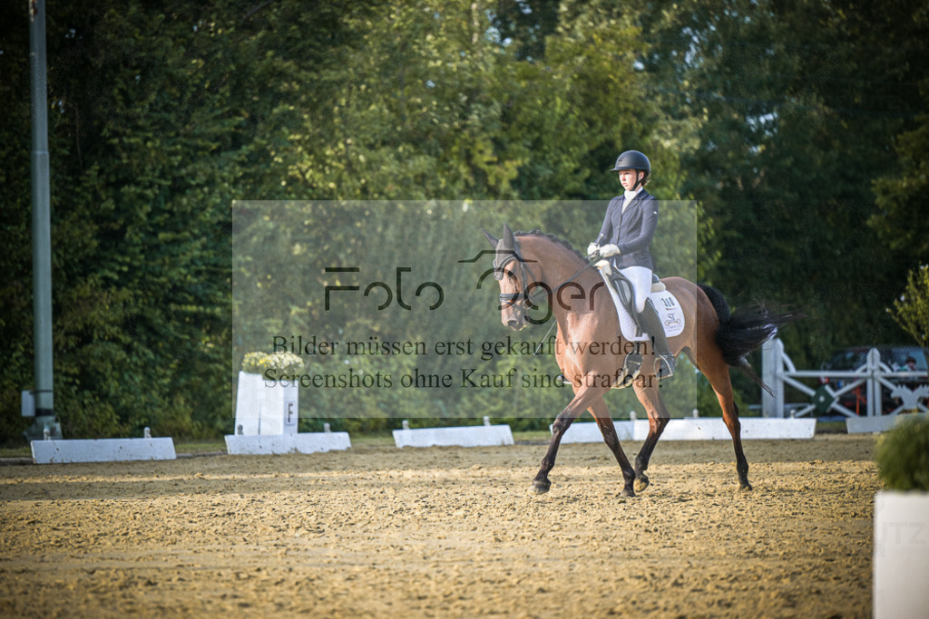 DOS_1848 | Entdecke hochwertige Reitturnierfotos von Foto Oger. Professionell, emotional und authentisch – jetzt Lieblingsmomente im Shop bestellen.Deutschlandweite Turnierfotografie. - Realisiert mit Pictrs.com