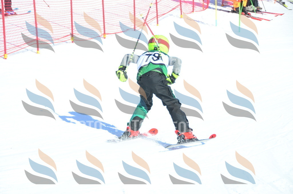 C5574 | holidayphoto