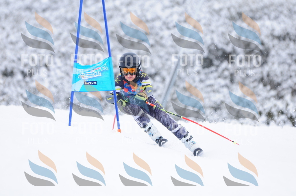 C3928 | holidayphoto