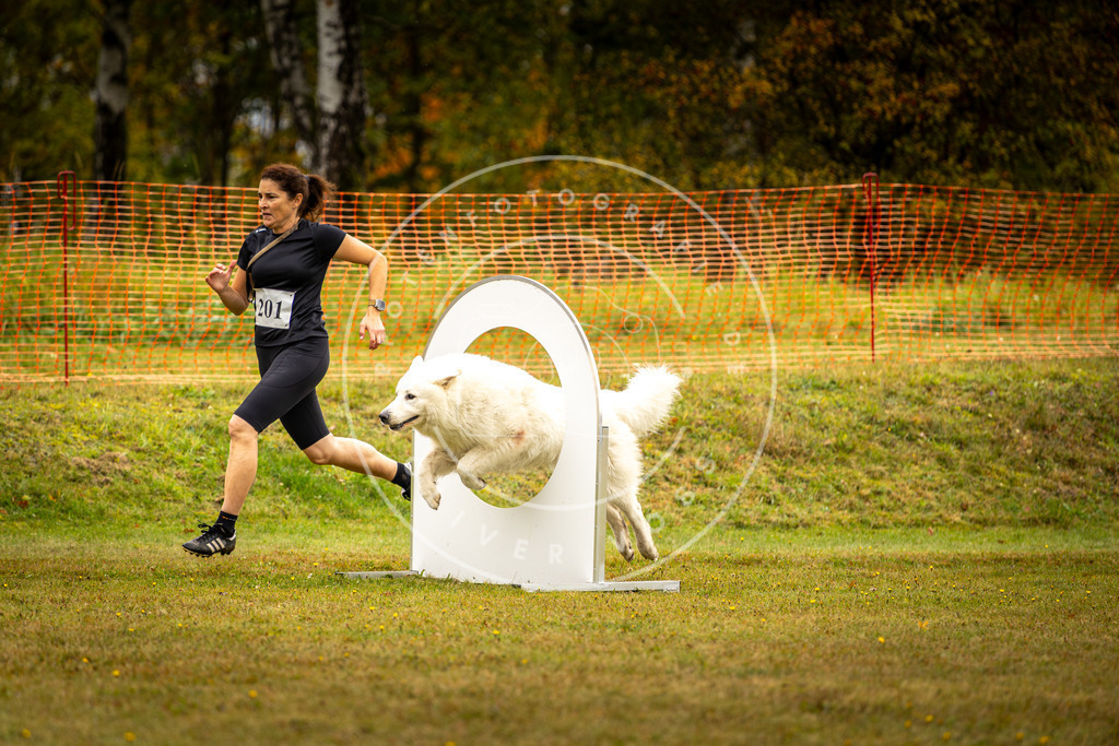 Pfotenfotografie_DV3A2456 | Hundefotografie, Tierfotograf, Pfotenfotografie, Fotoshooting Hund, Hunde Portrait, Hundesport, Hundeportraits, Heideshooting, Hunde, Sportfotograf, Hundefotograf, Turnierhundsport, THS,  - Realisiert mit Pictrs.com