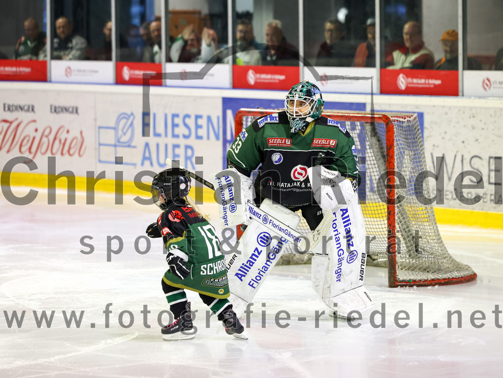 2023-03-19_013_TSV_Erding_gegen_TEV_Miesbach | Erding, Deutschland, 19.03.2023:
Eishockey, Bayernliga Playoffs 2022 / 2023, Halbfinale, TSV Erding gegen TEV Miesbach, Endergebnis: 

Torwart Thomas Hingel (Erding Gladiators, #33)

Foto: Christian Riedel / fotografie-riedel.net