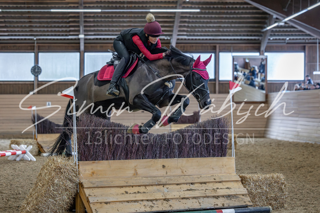 20260222-_3LI2370 | Tierfotografie Pferde, Hunde, Katzen, Haustiere.
Turnierfotografie Reitturniere, Reiten, Springreiten, Dressur in Hanau, dem Main-Kinzig-Kreis und dem Rhein-Main- Gebiet um Frankfurt