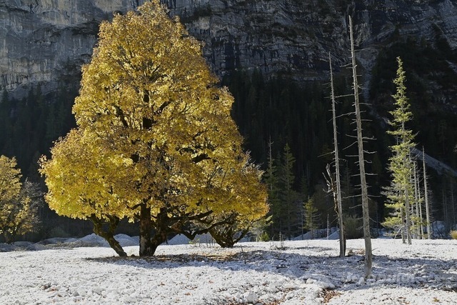 Isarursprung 2025-03 | Landschaftsfotografie Berge Mountain Landscape FotografieNatur Bilder Buidl Bergbuidl Bayern Heimat BergfotografieSonnenaufgang Sonnenuntergang Hobbyfotograf Bilderverkauf Leinwand - Realisiert mit Pictrs.com