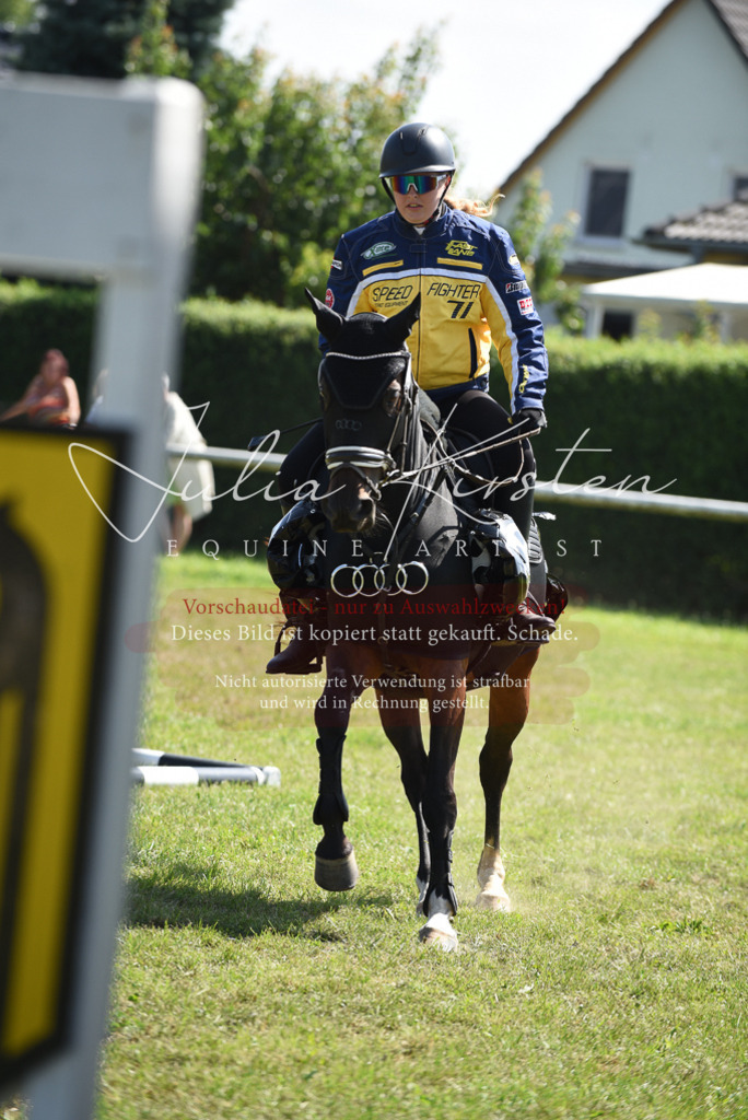 DSC_0393 | Pferde- und Turnierfotografie in Westsachsen. Pferdeportraits, Auftragszeichnungen und intuitive Kunst.