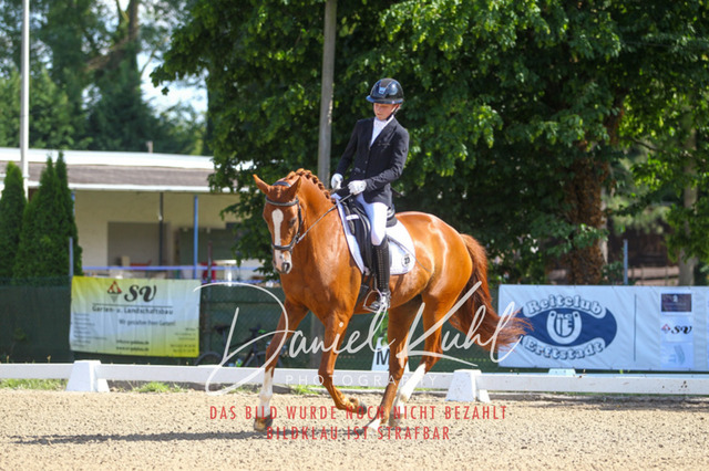 DKP42794 | Turnierfotos kaufen im Webshop von Daniel Kuhl Photography – entdecke professionelle Reitsportfotos aus Turnieren & Events. Hochwertige Turnierbilder online bestellen & sichern. Jetzt Fotos von Reitsportturnieren kaufen!