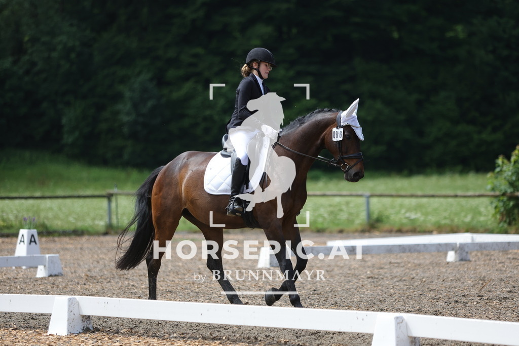 0P6A0432 | Willkommen bei Brunnmayr - Design & Fotografie – Ihrem Spezialisten für Reitturniere und Pferdeveranstaltungen in Oberösterreich, Salzburg und Bayern! Seit über 17 Jahren sind wir leidenschaftlich dabei.