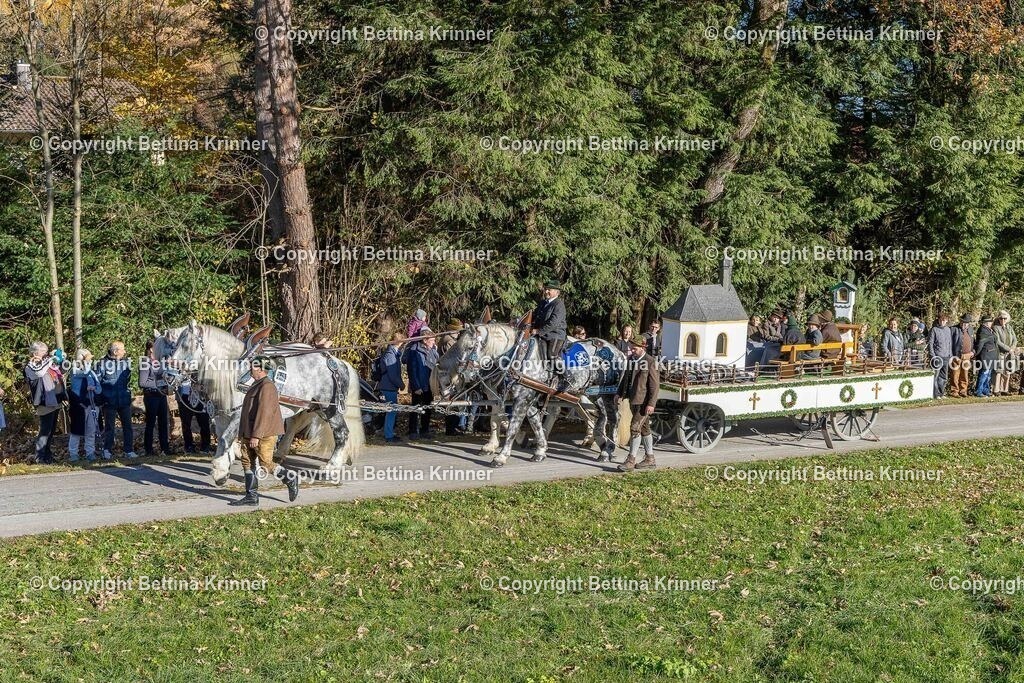 LBT25-255 | foto-bettina-krinner - Realisiert mit Pictrs.com