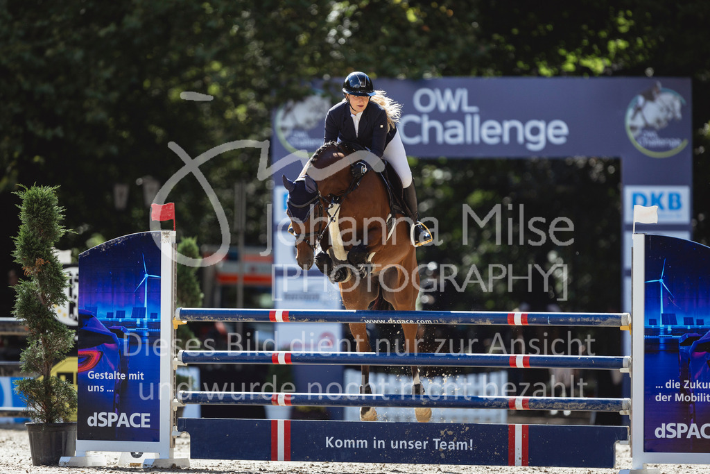 240912_OWLCh_AmateurM-440 | Deine schönsten Turniermomente als professionelle Fotos! Entdecke hochwertige Pferdesport-Fotografie im Online-Shop. Jetzt Fotos finden & bestellen!