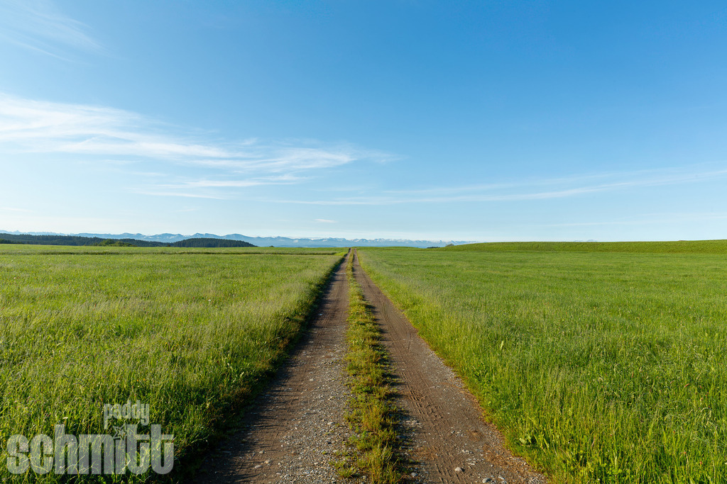 PS-Wege-2026-11 | Entdecke die größte Bildgalerie der Region mit Fotografien aus dem Allgäu, der Bodenseeregion, Oberschwaben, dem Donautal und der Schwäbischen Alb. Landschaften, Luftaufnahmen und Reisefotografie als Wandbild und Fotokunst. - Realisiert mit Pictrs.com