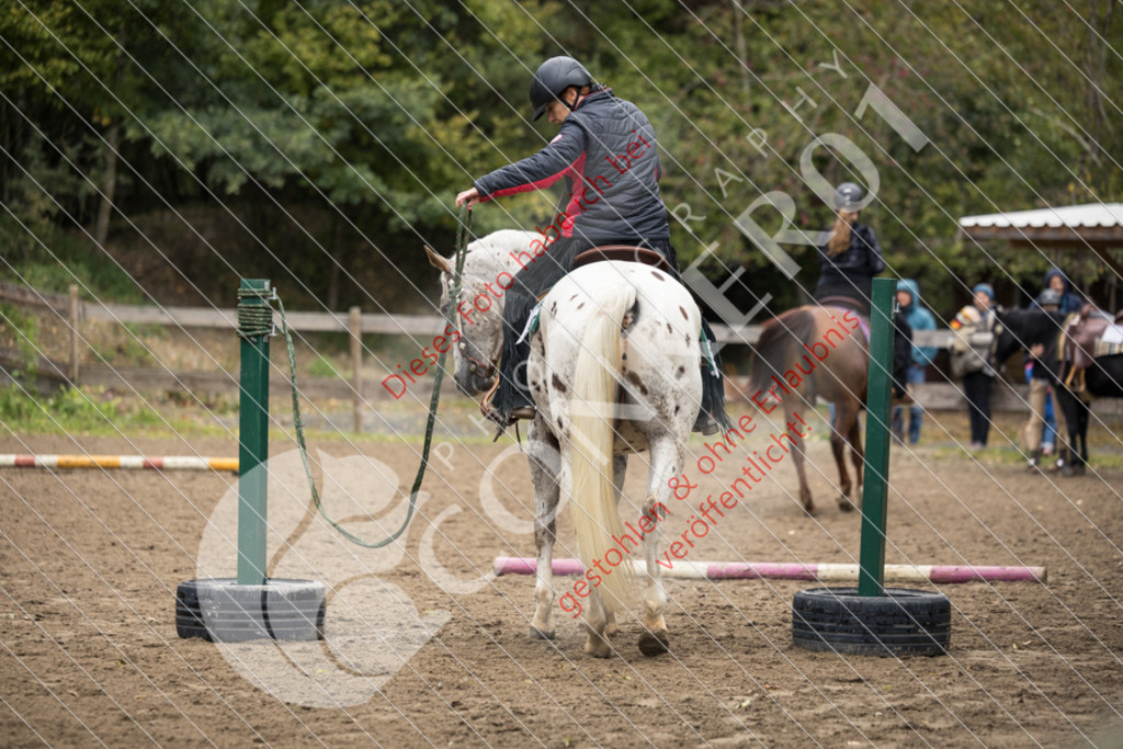 CON_9483 | Sport-, Event- und Tierfotos in Profiqualität. Einfach auswählen, bestellen und herunterladen. Dein Moment – perfekt festgehalten.