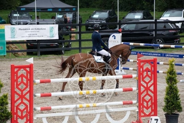 2B4A2628 | pixelfaenger - Realisiert mit Pictrs.com