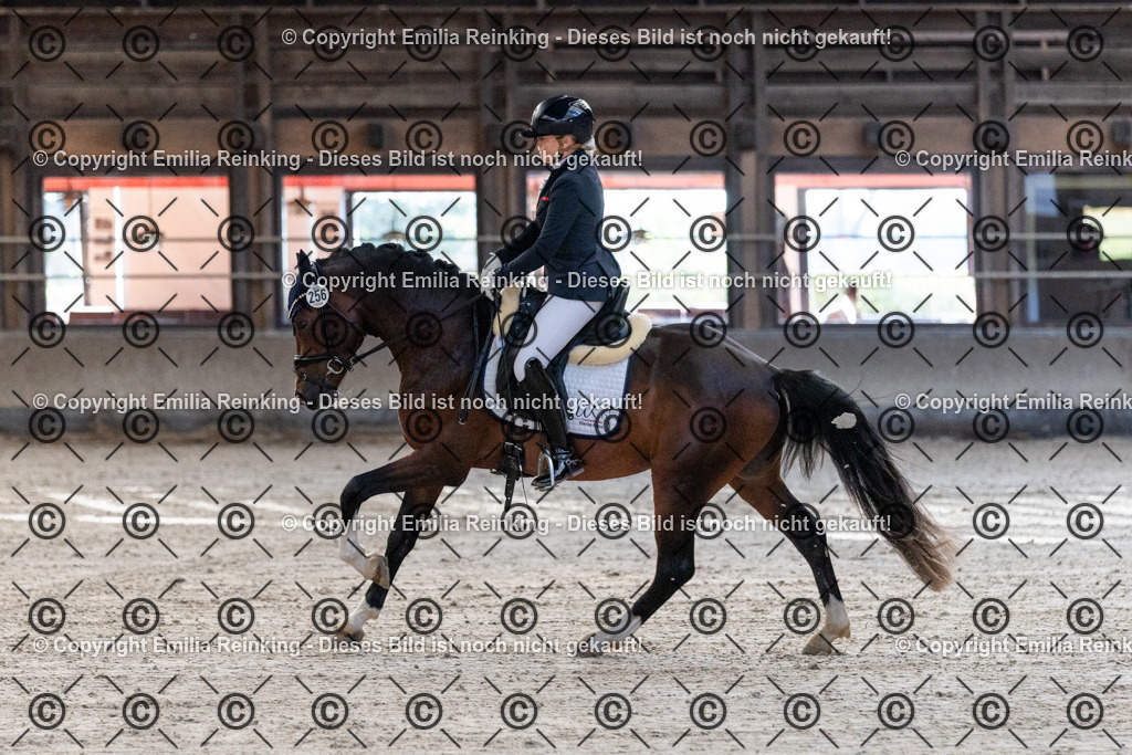 CL5A0171 | Emilia Reinking Fotografie - Realisiert mit Pictrs.com