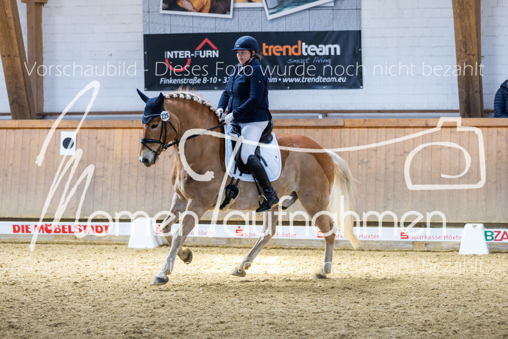 Sth-LPO25-DrR-L-141 | MomenTaufnahmen Pferdesportfotos