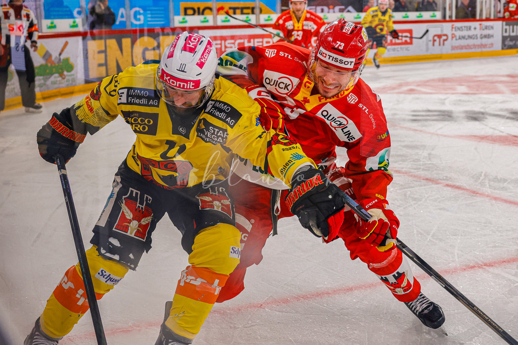EHCB vs SCB 20260110_wb-3639 | Sportbilder, Sportfotograf, Hochzeits- und Eventfotografin, Flugshows, Portraits und Tiershooting, Aviation, Downhill, Nationalleague, Swissleague, International