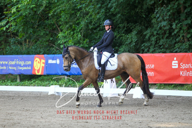 DKP42934 | Turniersportfotografie; Pferdefotografie; Dressurfotografie