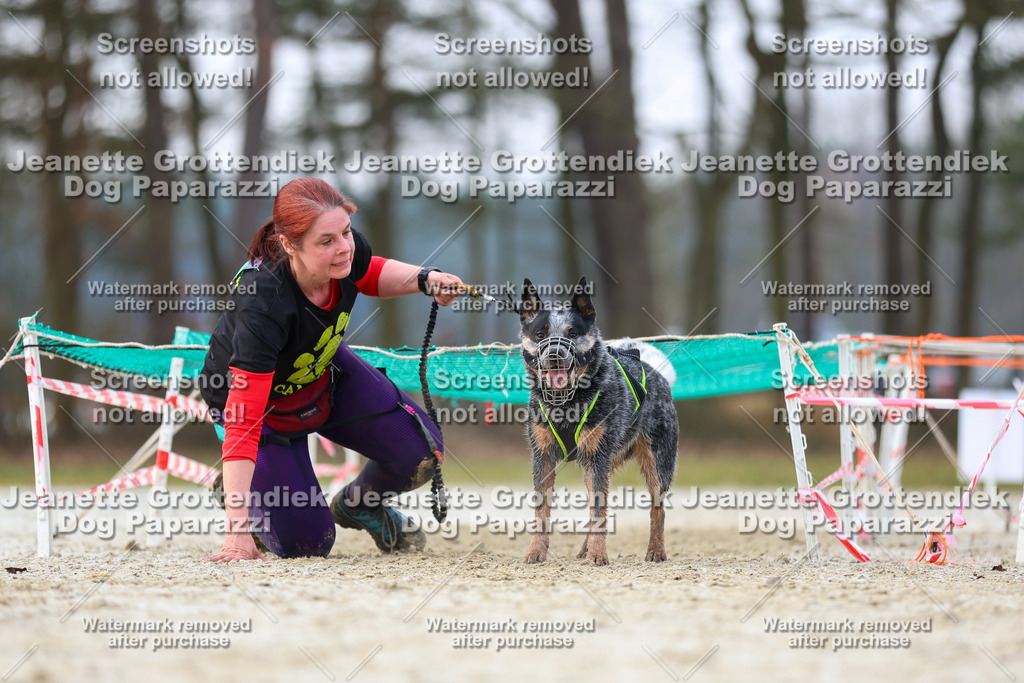 Dog Paparazzi - Strongdog North Mrz26-3895 | Dog Paparazzi Jeanette Grottendiek Fotografie & Videografie - Realisiert mit Pictrs.com
