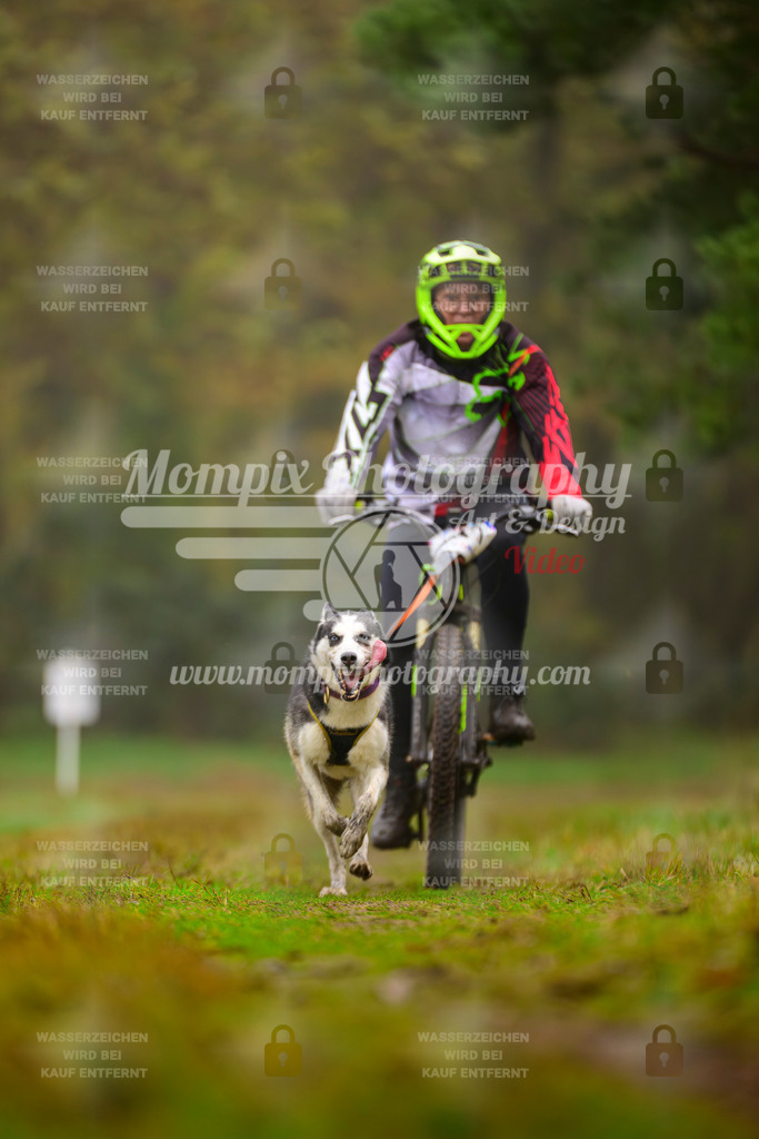 MompixPhotography_Bischwiller2025_Bike-71 | mompixphotography