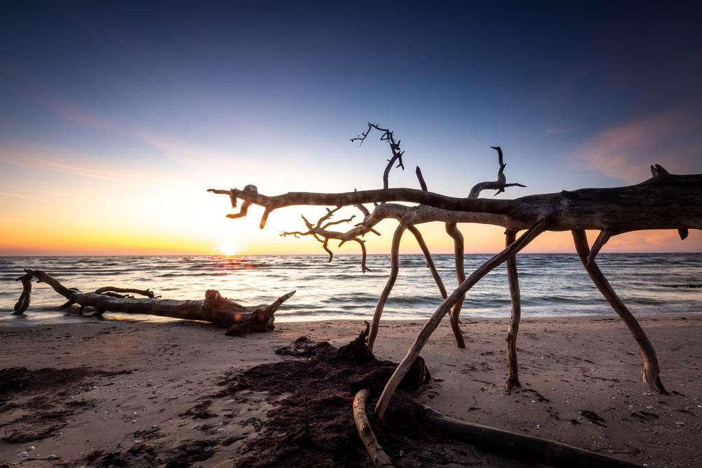 IMG_1490-Bearbeitet-Bearbeitet-Bearbeitet | christophschaarschmidt - Realisiert mit Pictrs.com