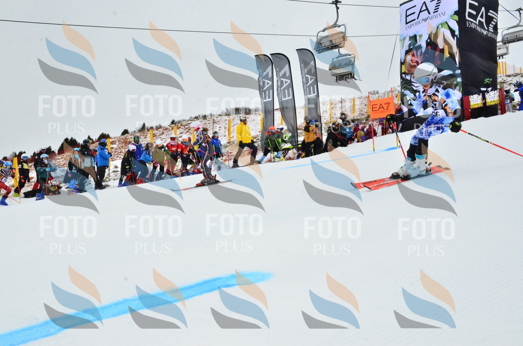 _ELE3359 | holidayphoto