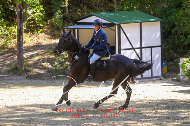 DKP43133 | Deine Turnierfotos vom Reitturnier online kaufen: Dressur, Springen & Siegerehrung. Professionelle Pferdefotografie aus dem Rheinland – als Download & Print.Alternative: Turnierfotograf für den Pferdesport: Finde deine Fotos von Dressur- und Springturnier