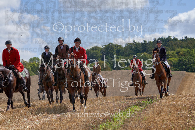 _MCH8326_Marina Hewig | Fotografie, FotoArt, PferdesportArt, Pferdesportfotografie, Landschaftsfotografie, Reisefotografie, Reise, Pferde - Realisiert mit Pictrs.com