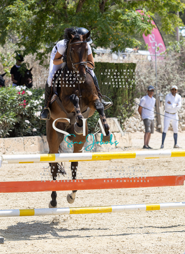 IMG_7489 | s-jay-photography - Realisiert mit Pictrs.com