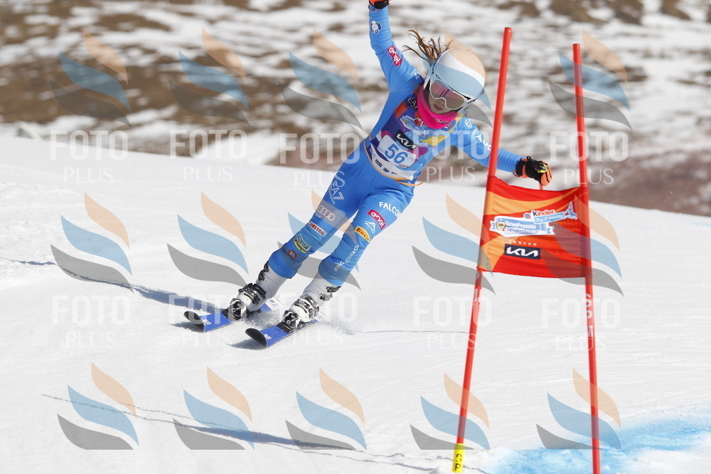 _U3G9524 | holidayphoto