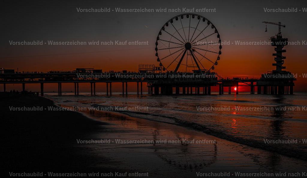 DSC04977-Enhanced-NR-5 | marcuslinek