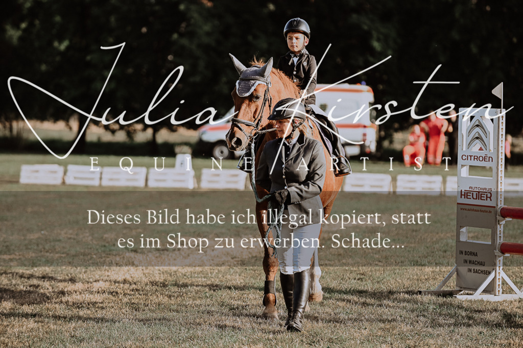 DSC_0071 | Pferde- und Turnierfotografie in Westsachsen. Pferdeportraits, Auftragszeichnungen und intuitive Kunst.