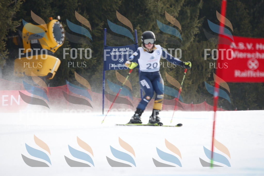 D4850 | holidayphoto