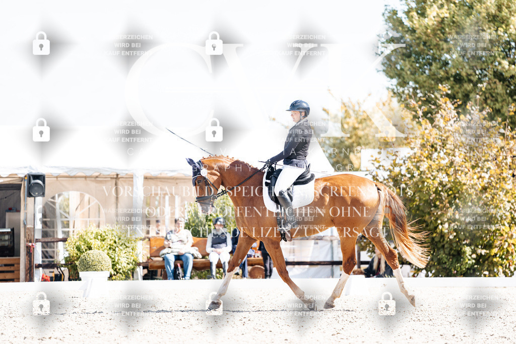 CK903190 | Turnierfotografie Pferdefotografie Trier Rheinland-Pfalz Pferdesport Reitsport Tierfotografie Sportfotografie Pferdevideo Pferdevideografie Equestrianvideography equestrianphotography  - Realisiert mit Pictrs.com
