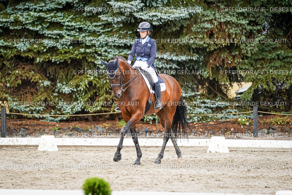 DSC00091 | Pferdegrafie