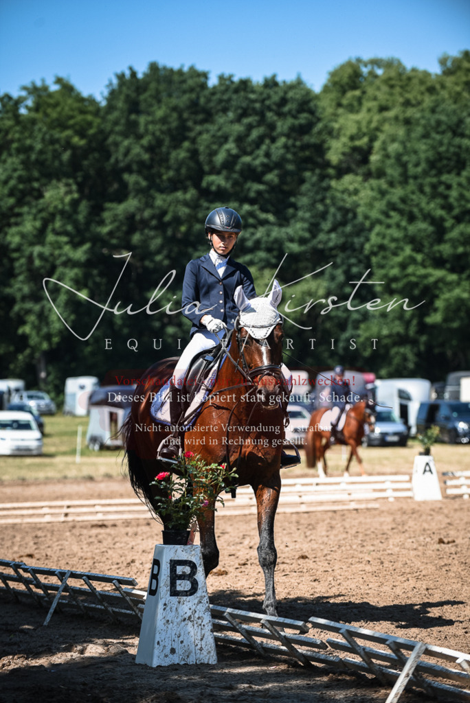DSC_3470 | Pferde- und Turnierfotografie in Westsachsen. Pferdeportraits, Auftragszeichnungen und intuitive Kunst.