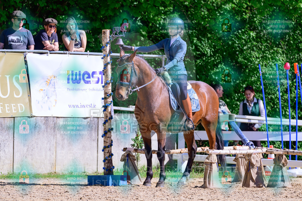 01052026-Giesenbach-02-Stiltrail-0725 | Fokus Hufschlag Fotografie - Realisiert mit Pictrs.com