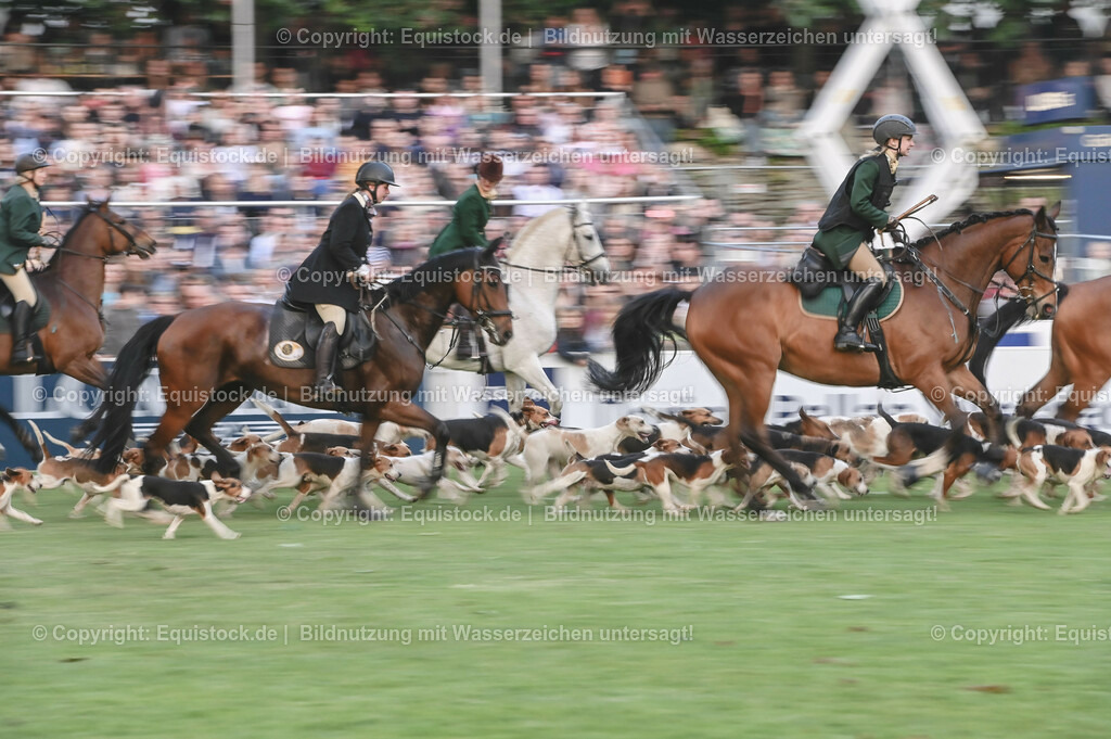 20230526_Pferdenacht_0650 | equistock
