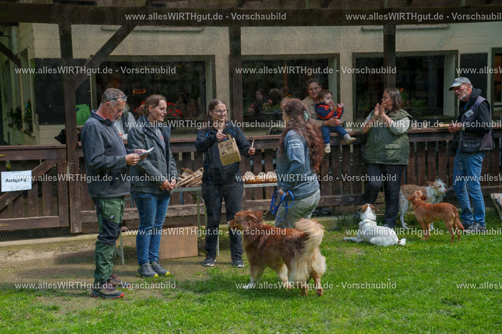 @allesWIRTHgut_Tierfotografie - www.allesWIRTHgut.de - 7R506110 | Professionelle Tierfotografie in Mönchengladbach von Daniel Wirth (allesWIRTHgut). Liebevolle & natürliche Bilder von Hunden & Katzen für unvergessliche Erinnerungen.